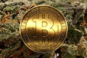 IBM Cannabis Blockchain