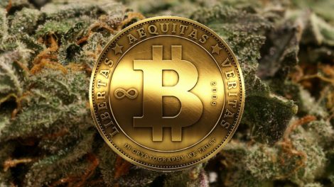 IBM Cannabis Blockchain
