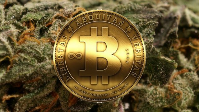 IBM Cannabis Blockchain