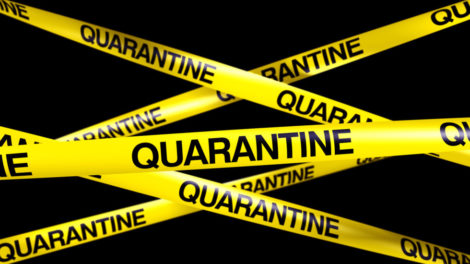 Mise en quarantaine