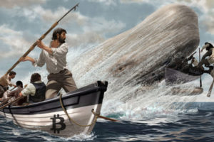 Bitcoin Whale Baleine
