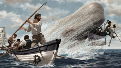 Bitcoin Whale Baleine