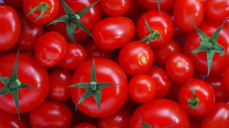 Tomates