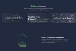 switcheo network