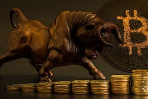 Bitcoin bull run