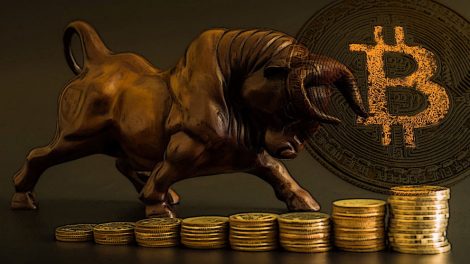 Bitcoin bull run