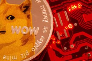 escroquerie dogecoin