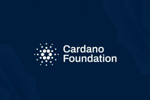 Fondation Cardano