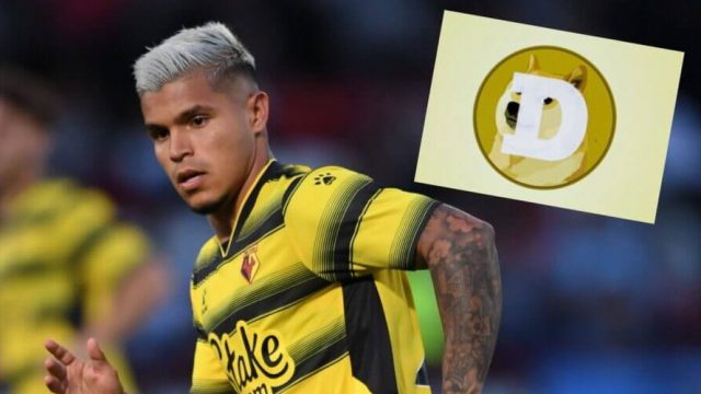 Watford Dogecoin