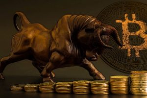 Bitcoin (BTC) bull run