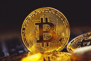 Bitcoin Bull Run