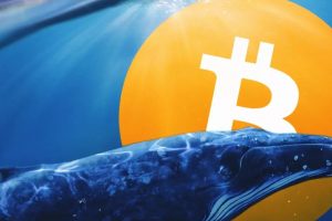 Bitcoin Whales