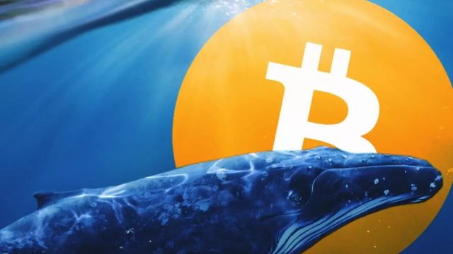 Bitcoin Whales