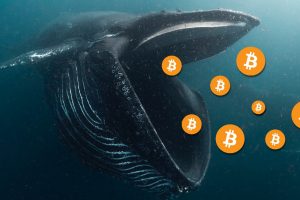 Bitcoin whales