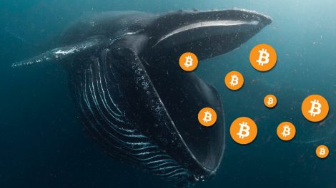 Bitcoin whales