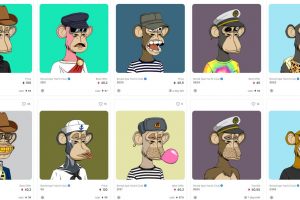 Bored ape yacht club opensea