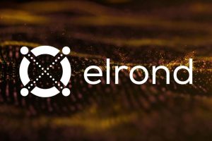 Elrond EGLD
