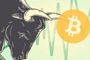 Hausse Bitcoin bull run