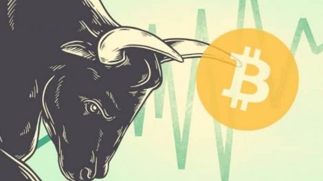 Hausse Bitcoin bull run