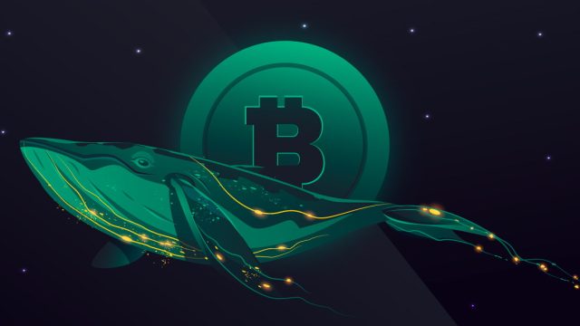Bitcoin whales