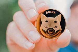 Token Shiba Inu