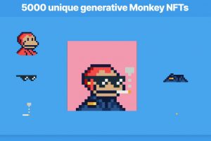 Solana Monkey Business