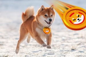 Token Shiba Inu (SHIB)