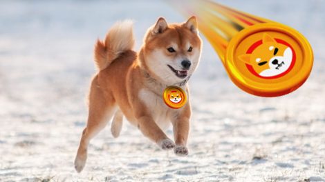 Token Shiba Inu (SHIB)