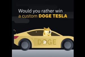 Doge or Tesla