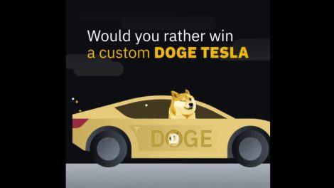 Doge or Tesla