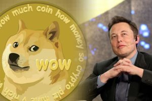 Dogecoin Elon Musk