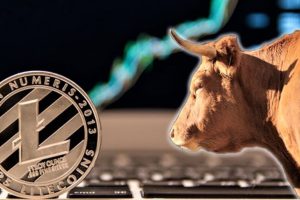 Hausse Litecoin (LTC)