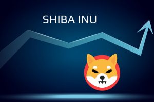SHIB Shiba Inu Token ERC20
