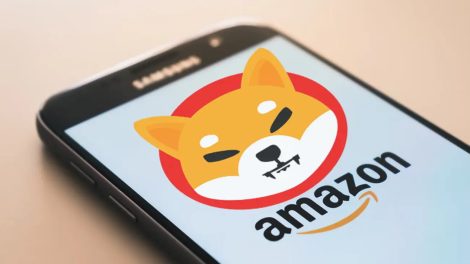 Shiba Inu Amazon