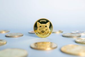 Shiba Inu Coin