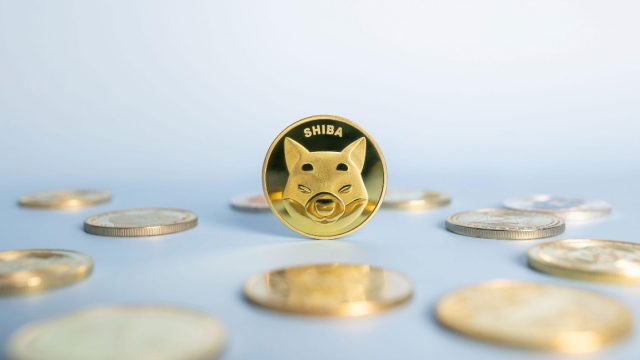 Shiba Inu Coin