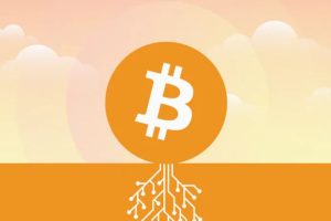 Taproot Bitcoin