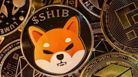 Token Shiba Inu (SHIB)