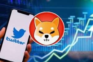 Twitter Shiba Inu