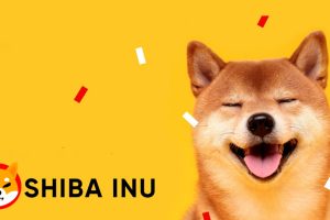 Coin Shiba Inu