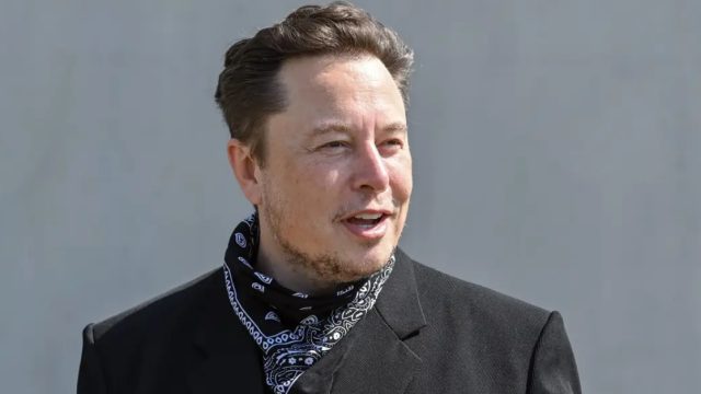 Elon Musk Web3