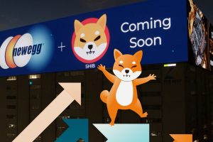 Newegg Shiba Inu panneau publicitaire