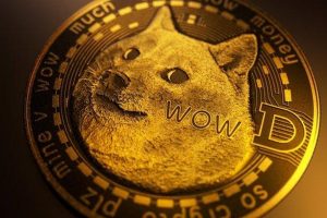 Pièce DOGE Dogecoin