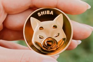 Pièce Shiba Inu SHIB