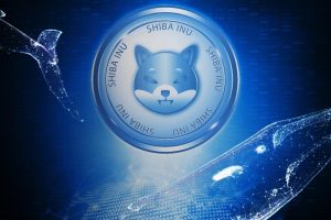 Shib Whale