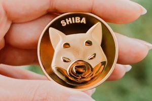 Shiba Inu pièce