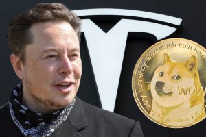 Tesla Elon Musk Dogecoin
